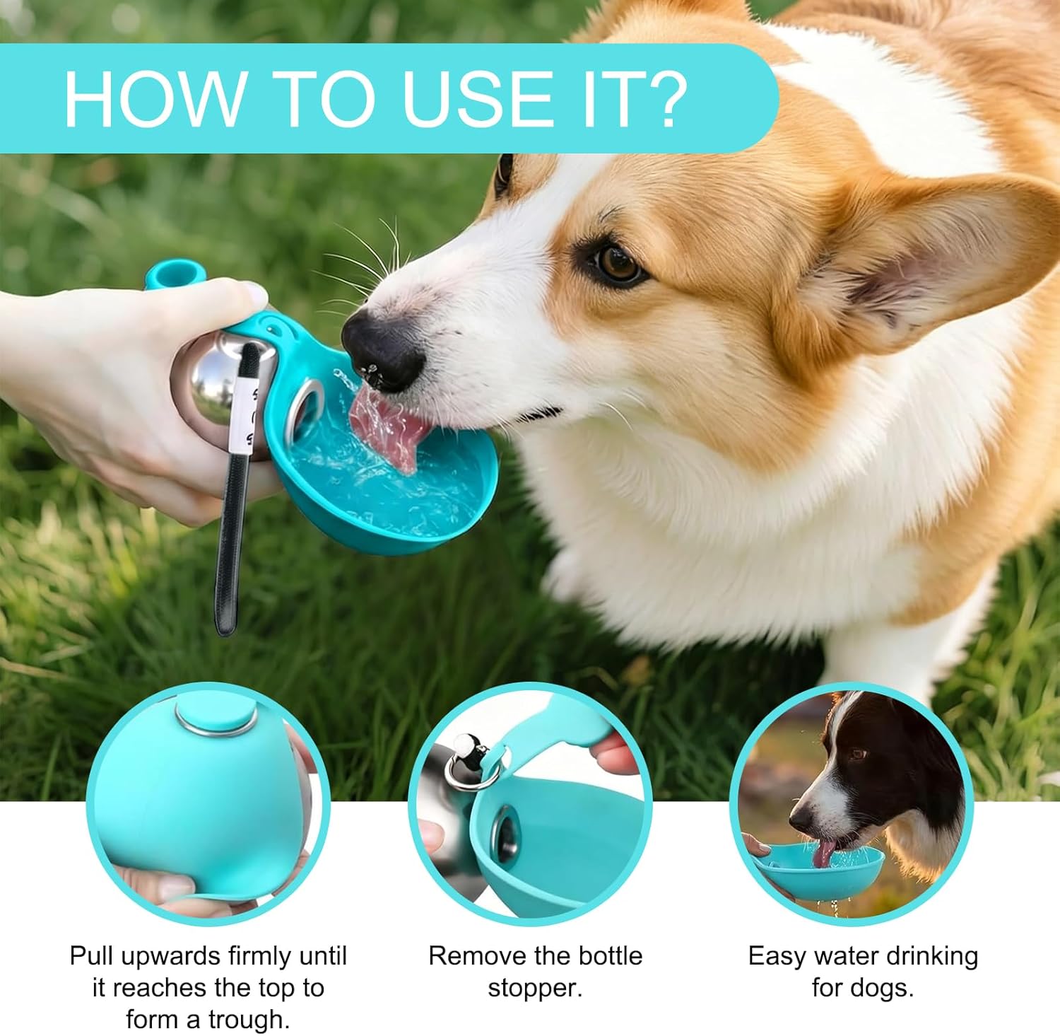 Portable Dog Water Bottle
