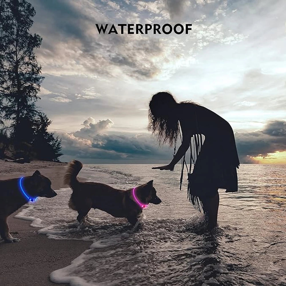 Led Dog Collar Luminous Usb Cat Dog Collar 3 Modes Led Light Glowing Loss Prevention LED Collar For Dogs Pet Dog Accessories