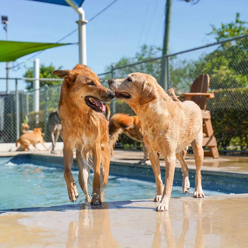 Portable Pet Splash Pad with Sprinkler Outdoor Dog Cooling & Bathing Pool, Fun Water Play Mat for Pets Kids Summer Heat Relief