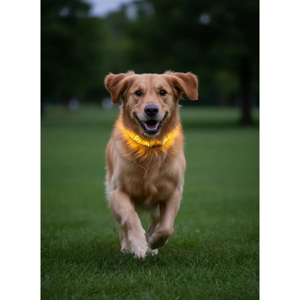 LED Dog Luminous Collar with Night Time Anti Slip Warning Leopard Print Four Flashing Modes Collar for Dog Necklace
